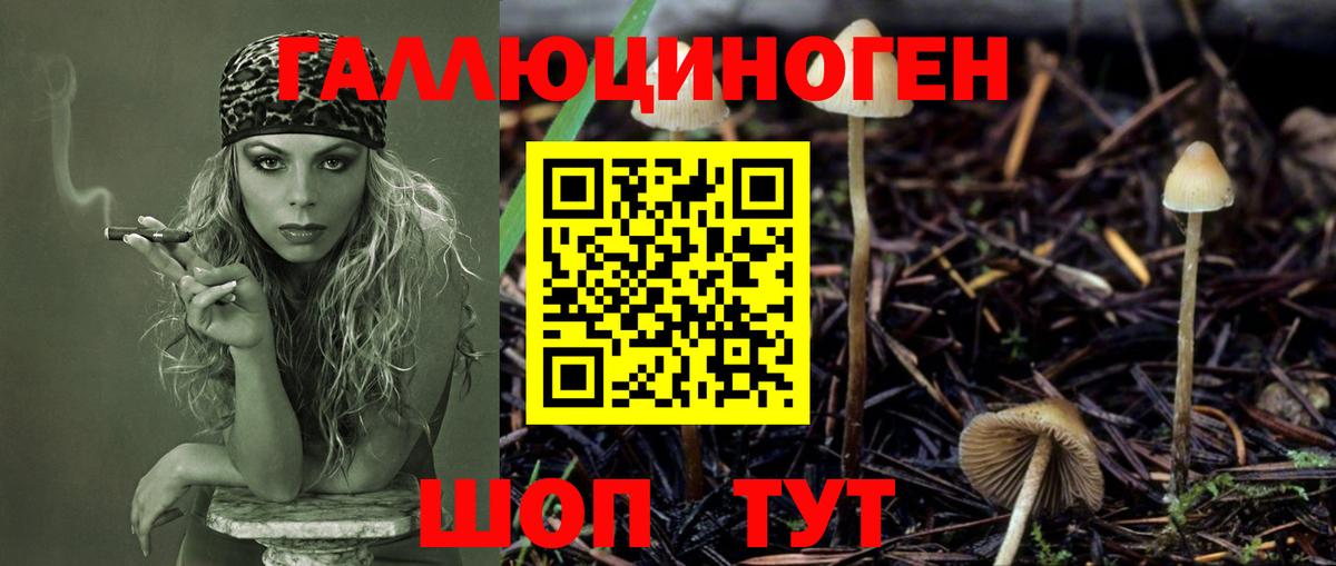 где найти наркотики  Вход с VPN  Сорочинск  Галлюциногенные грибы Psilocybine cubensis  Галлюциногенные грибы MAGIC MUSHROOMS 