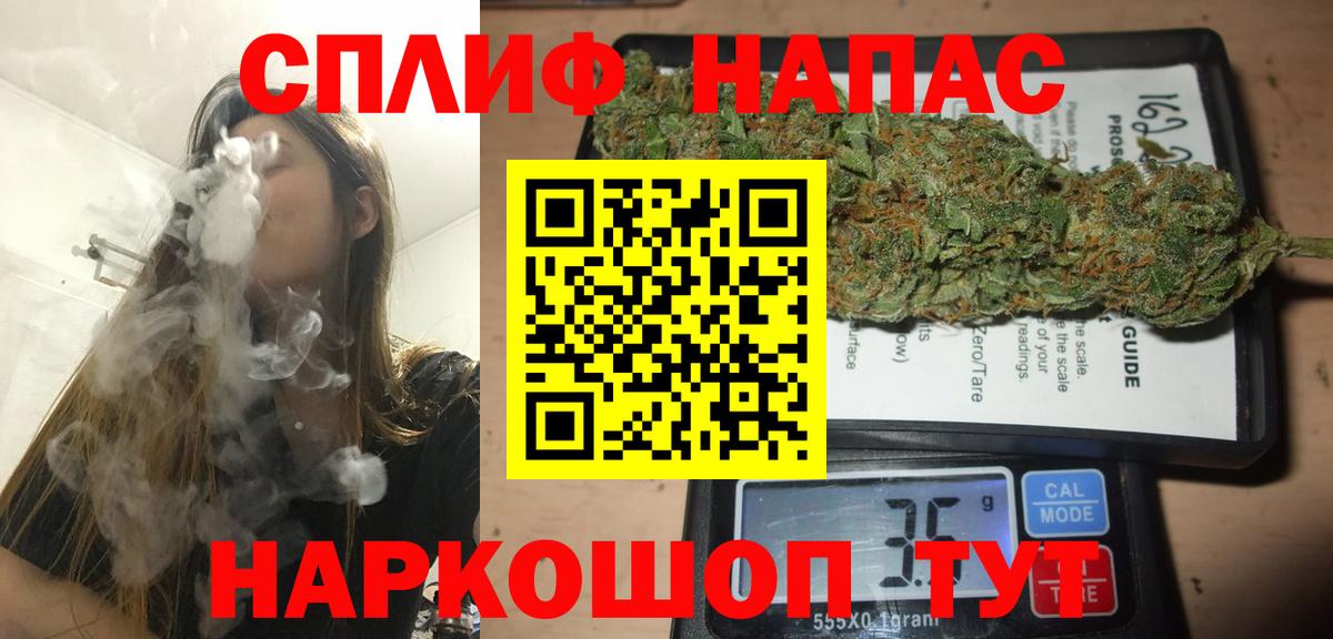 Конопля сатива Сорочинск
